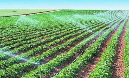 黄色网上看肏屄天天肏屄夜夜肏农田高 效节水灌溉